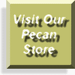 Southern Star Pecans for Sale!