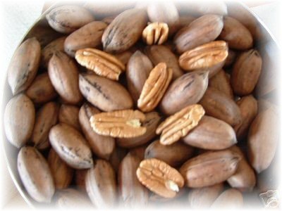 New crop premium pecans for sale!