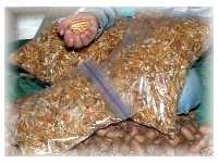 Buy pecans fresh from the grower!